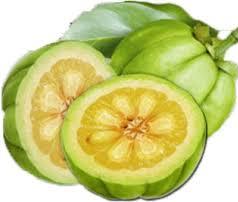 Garcinia Cambogia fruit