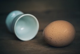 egg